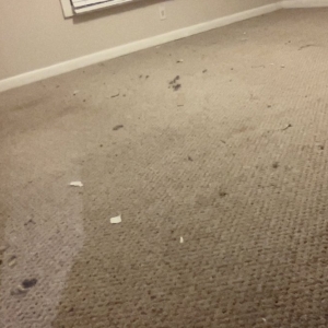 Photo of 1836 Property Management