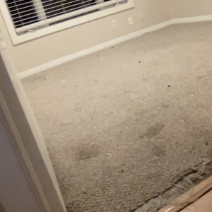 Photo of 1836 Property Management
