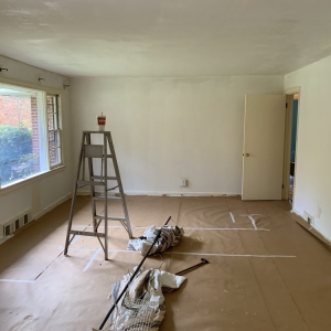 Photo of Custom House Painting