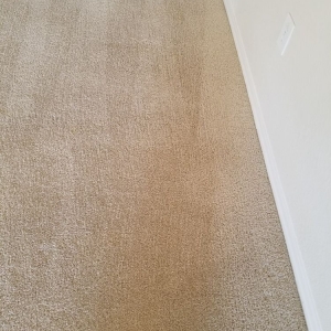 Photo of Advance Carpet Cleaning