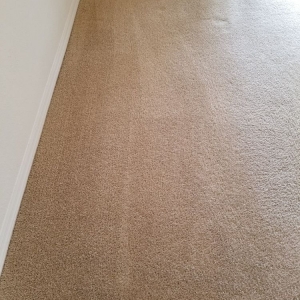 Photo of Advance Carpet Cleaning