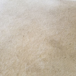 Photo of Advance Carpet Cleaning