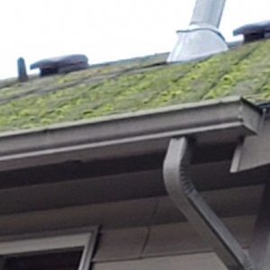 Port Orchard Gutter Girls