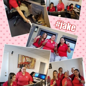 Photo of Jessica Hernandez - State Farm Insurance Agent