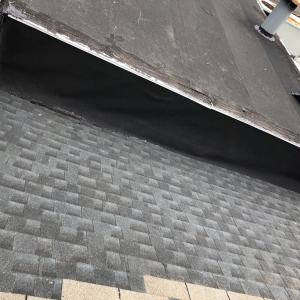 Photo of Construction Mutants