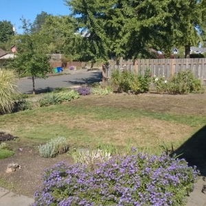 Photo of Clean Air Lawn Care of Portland