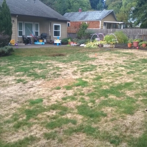 Photo of Clean Air Lawn Care of Portland
