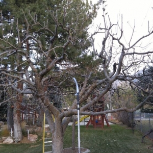 Photo of Landscape Visual Imaging
