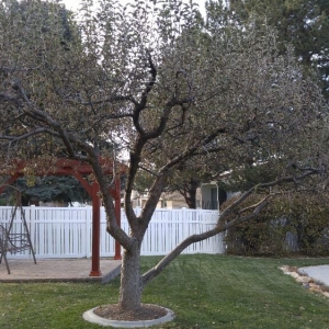 Photo of Landscape Visual Imaging