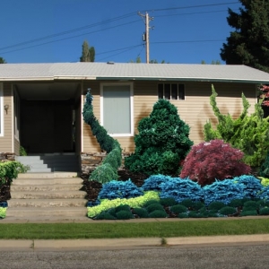 Photo of Landscape Visual Imaging