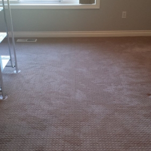 Photo of Carpet Proz Installation & Repair