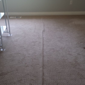 Photo of Carpet Proz Installation & Repair