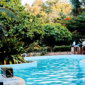 Photo of Jump Right In Pool Service