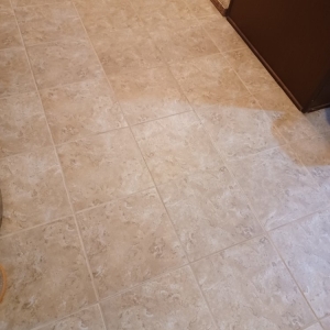 Photo of Chris' Mean Green Carpet Cleaning