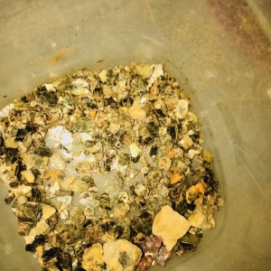 Photo of Pacific Precious Metals