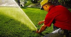 Photo of Irrigation Repair Charlotte