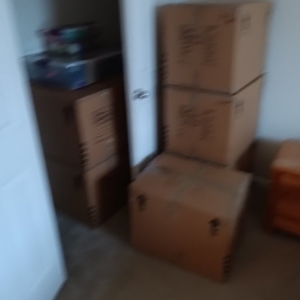 Photo of Heavy hitters moving company