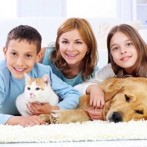 Photo of Best Carpet Cleaning Experts