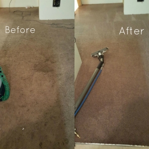 Photo of Star Cleaning