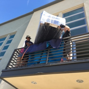 Photo of Pure Movers