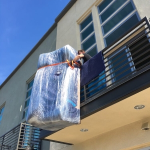 Photo of Pure Movers