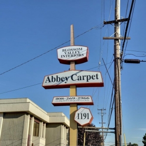 Photo of Abbey Carpet by Blossom Valley Interiors