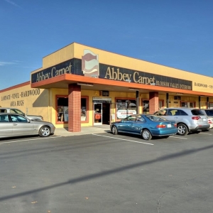 Photo of Abbey Carpet by Blossom Valley Interiors