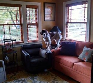 Photo of SunRay Window Cleaning