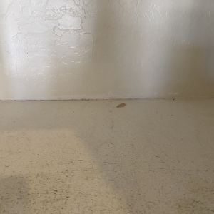 Photo of Eddie's General Cleaning Services