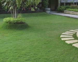 Photo of Arlington Landscaping