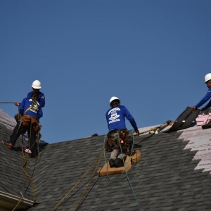 Photo of NDX Roof