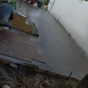 Photo of Lion Finiched Stamped Concrete