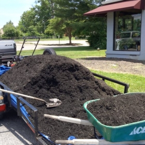 Photo of Jose Morales General Work