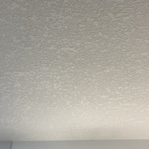 Photo of L&R Painting