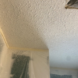 Photo of L&R Painting