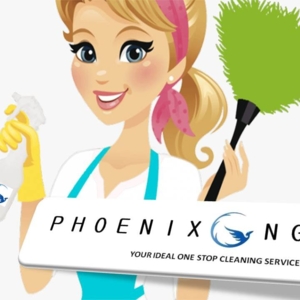 Photo of Phoenix Ong Cleaning Service