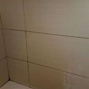 Photo of A Singleton Carpet Care and Flooring Solutions