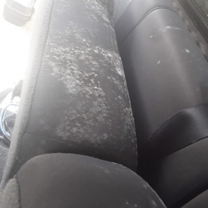 Photo of MS Professional Car Detailing
