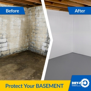 Photo of Dry Pro Foundation and Crawlspace Specialists