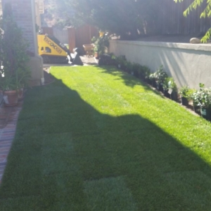Photo of Wavescape Irrigation and Landscape