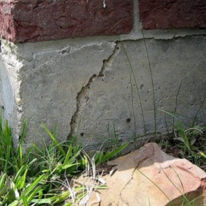 Photo of Bats Foundation Repair Of Manor
