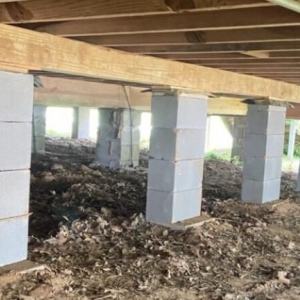 Photo of Bats Foundation Repair Of Manor