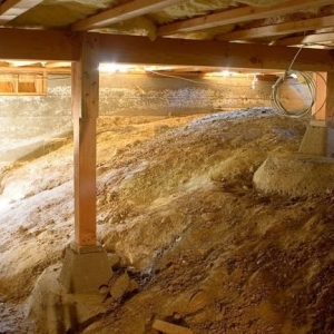 Photo of Bats Foundation Repair Of Manor