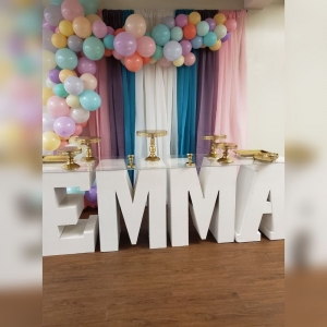 Photo of Tiesha's Party Planning