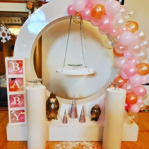 Photo of Tiesha's Party Planning