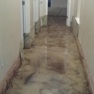 Photo of Lemi-Duit Property Maintenance
