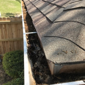 Photo of Blue Action Pressure Washing