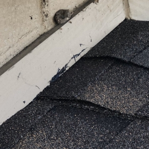 Photo of West Roofing and Home Repairs