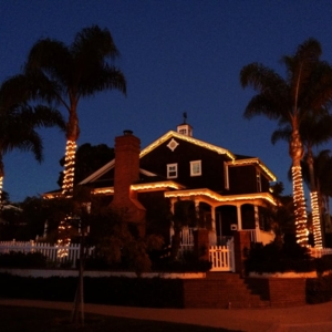 Photo of Delights of Christmas