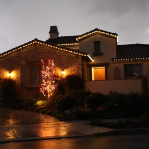 Photo of Delights of Christmas